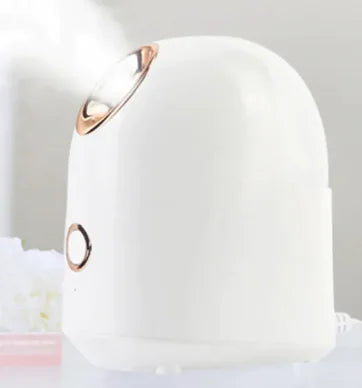 Glow Mist Beauty Steamer - Aurynaz