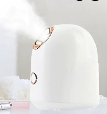 Glow Mist Beauty Steamer - Aurynaz