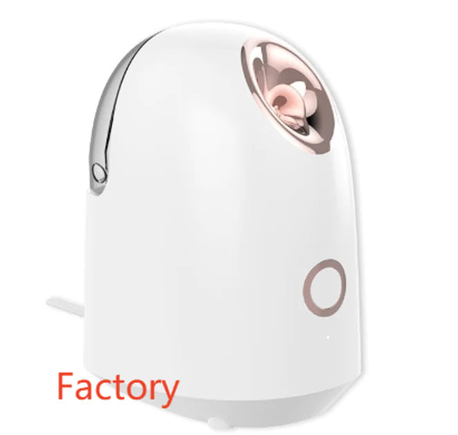 Glow Mist Beauty Steamer - Aurynaz